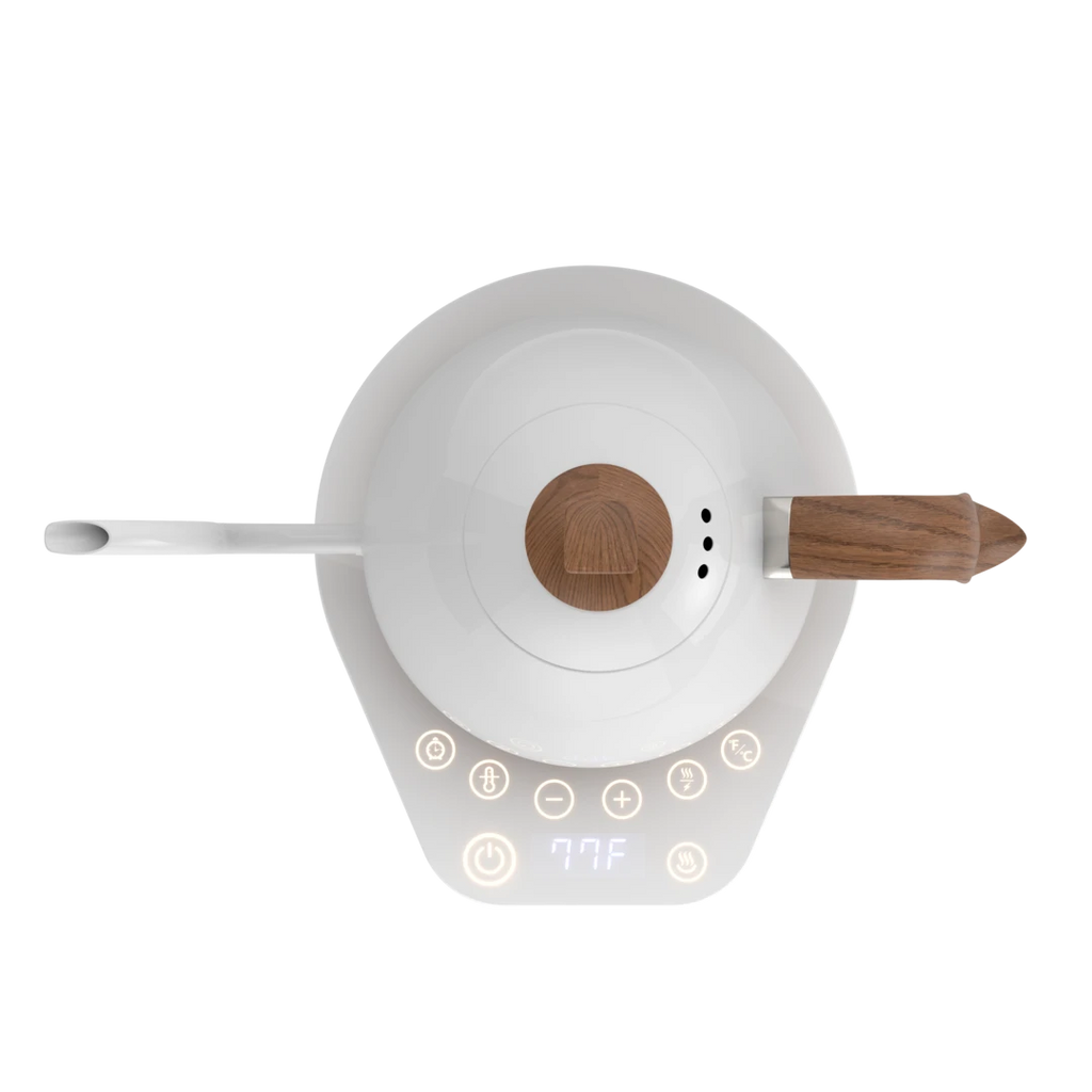 Brewista Artisan Gooseneck Variable Kettle